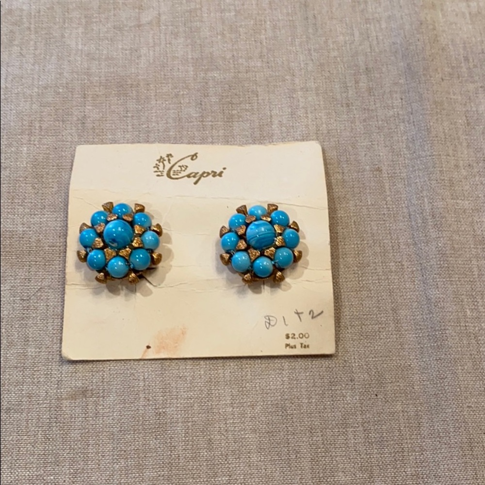 Vintage clip earrings
